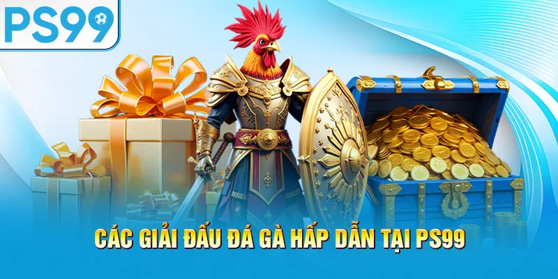 cac-giai-dau-da-ga-hap-dan-tai-ps99_8