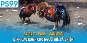 da-ga-c1-ps99-–-san-choi-dinh-cao-danh-cho-nguoi-me-ga-chien_18