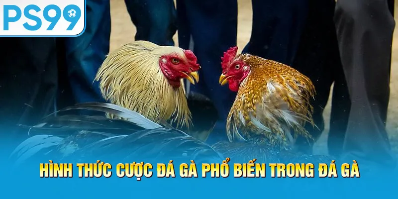 hinh-thuc-cuoc-da-ga-pho-bien-trong-da-ga_30
